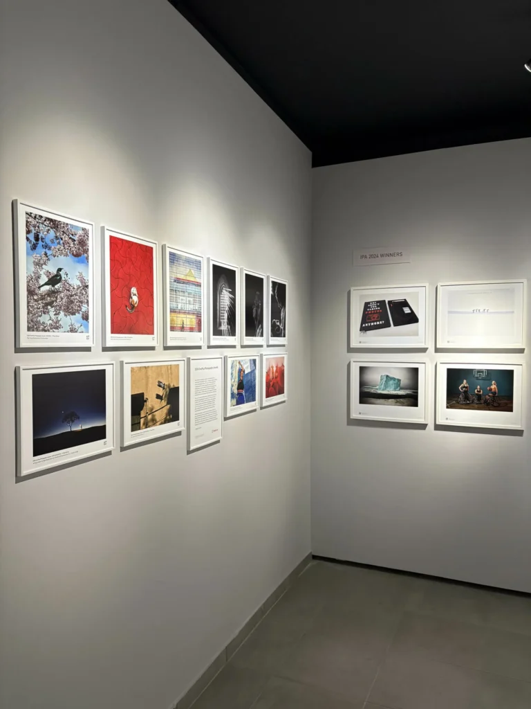 IPA-Best-of-Show-Exhibition-53-scaled